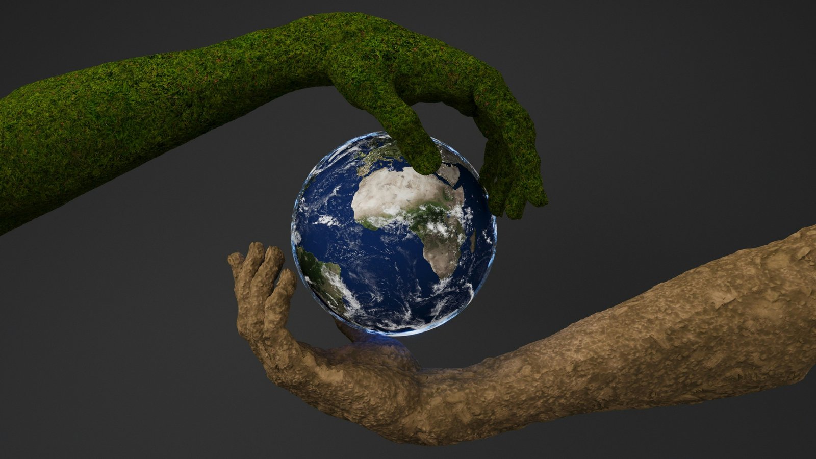 Études en environnement